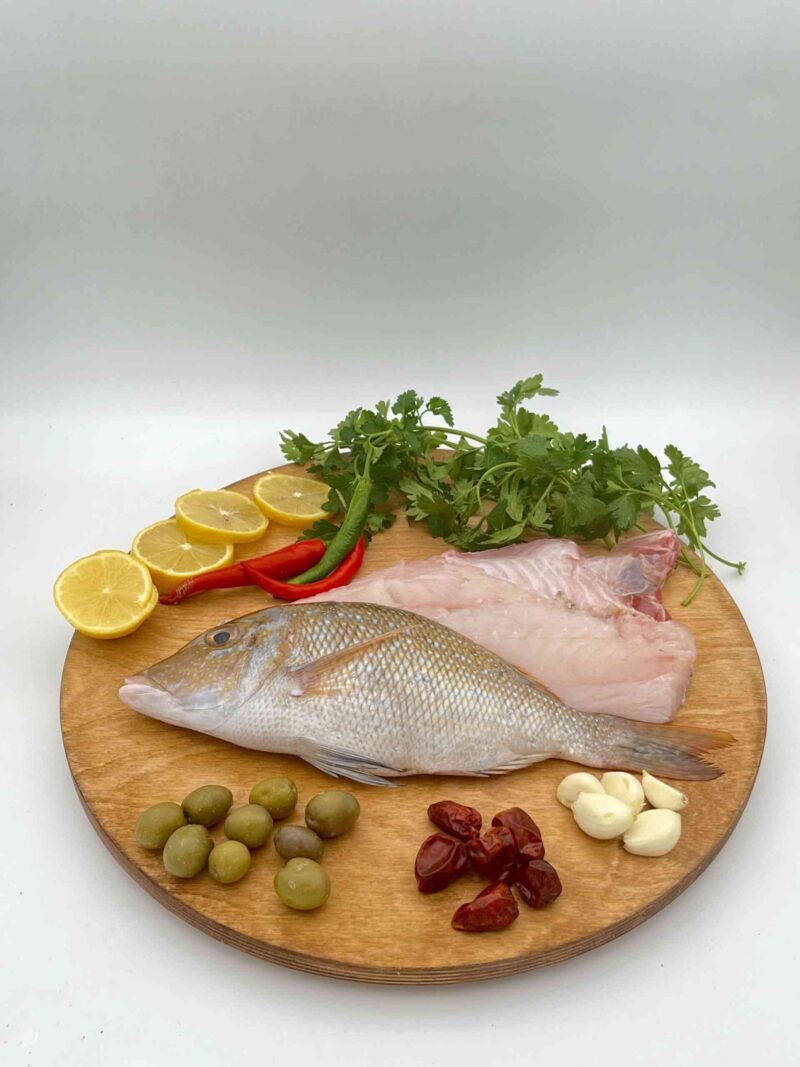 ماهی شعری بوشهر