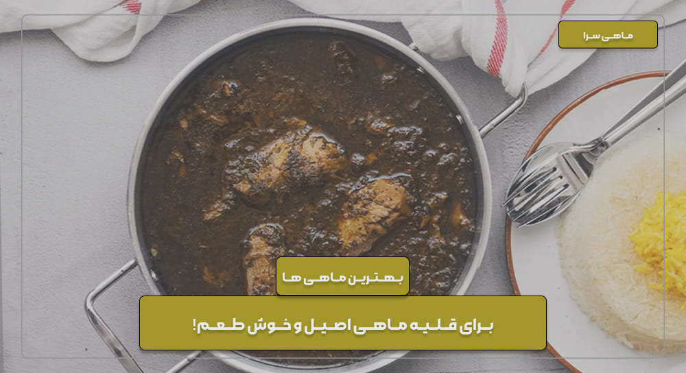 بهترین ماهی برای قلیه ماهی