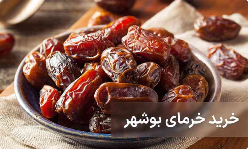 خرید خرما بوشهر از ماهی سرا