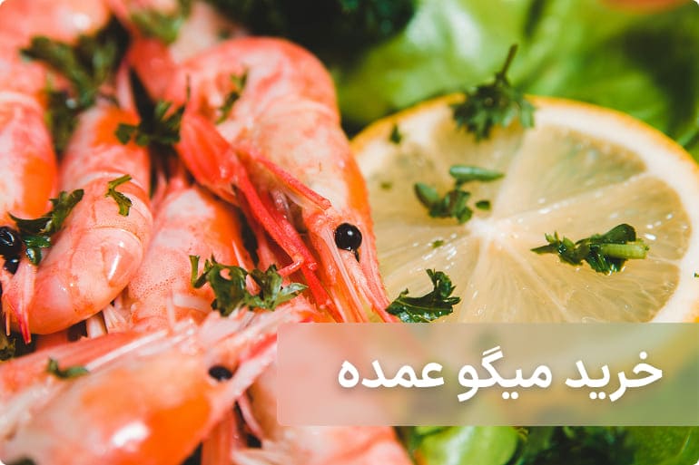 خرید عمده میگو