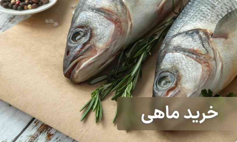 خرید ماهی از ماهی سرا