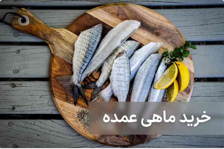 خرید ماهی عمده