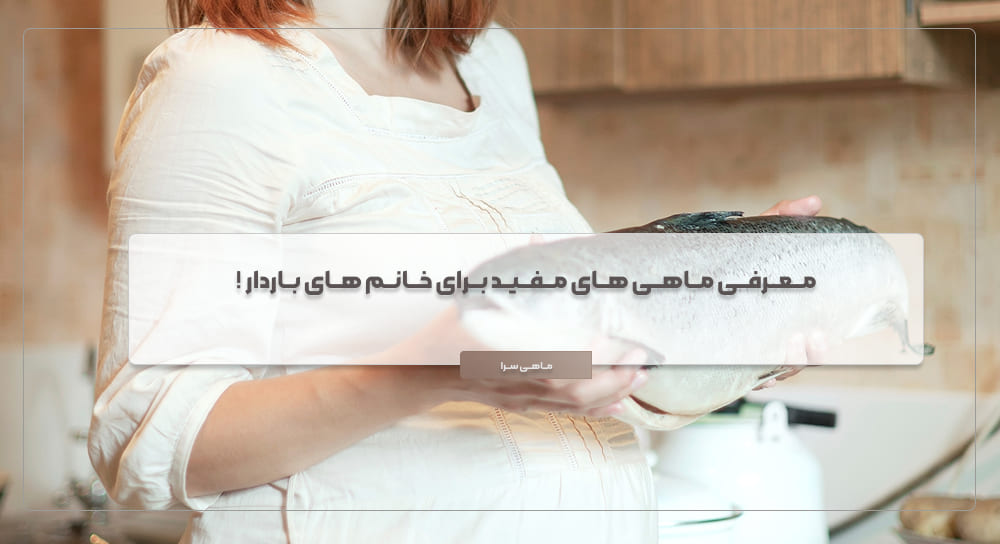 ماهی برای خانم های باردار