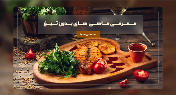 معرفی ماهی های بدون تیغ